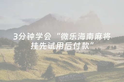 3分钟学会“微乐海南麻将挂先试用后付款”（详细透视教程）-哔哩哔哩