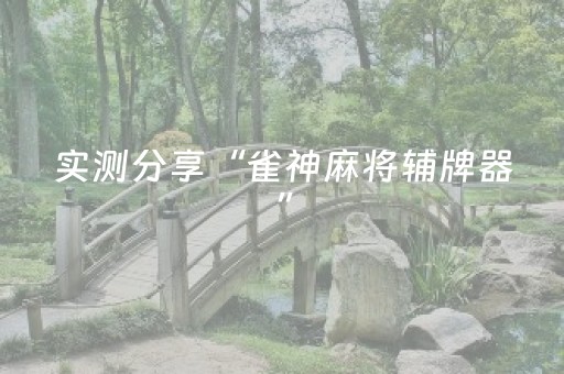 实测分享“雀神麻将辅牌器”（详细透视教程）-哔哩哔哩