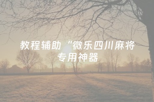 教程辅助“微乐四川麻将专用神器（专用辅牌神器免安装）
