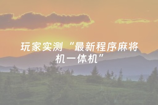 玩家实测“最新程序麻将机一体机”（详细透视教程）-哔哩哔哩
