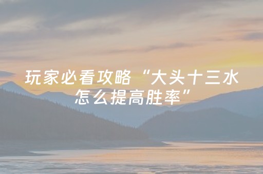 玩家必看攻略“大头十三水怎么提高胜率”（详细透视教程）-哔哩哔哩