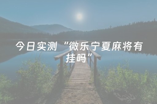 今日实测“微乐宁夏麻将有挂吗”（详细开挂教程）-哔哩哔哩