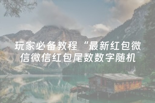 玩家必备教程“最新红包微信微信红包尾数数字随机后台控制软件”（详细透视教程）-哔哩哔哩
