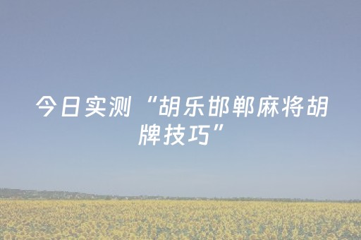 今日实测“胡乐邯郸麻将胡牌技巧”（详细辅助教程）-哔哩哔哩