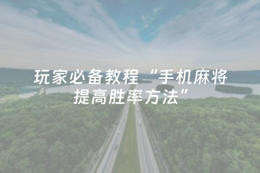 玩家必备教程“手机麻将提高胜率方法”（详细透视教程）-哔哩哔哩