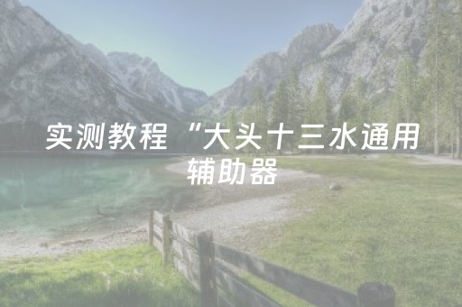 实测教程“大头十三水通用辅助器（助赢神器通用版）