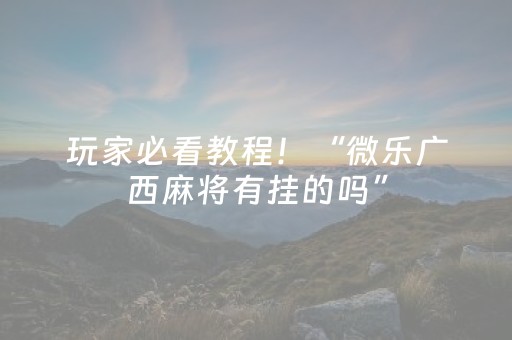 玩家必看教程！“微乐广西麻将有挂的吗”（详细辅助教程）-哔哩哔哩