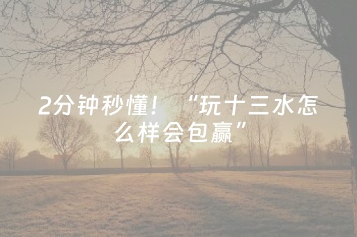 2分钟秒懂！“玩十三水怎么样会包赢”（详细辅助教程）-哔哩哔哩