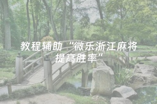教程辅助“微乐浙江麻将提高胜率”（详细透视教程）-哔哩哔哩