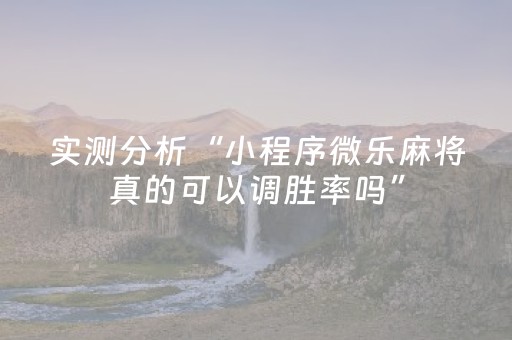 实测分析“小程序微乐麻将真的可以调胜率吗”（详细辅助教程）-哔哩哔哩