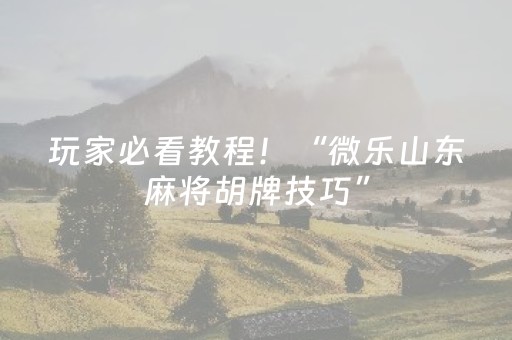玩家必看教程！“微乐山东麻将胡牌技巧”（详细透视教程）-哔哩哔哩