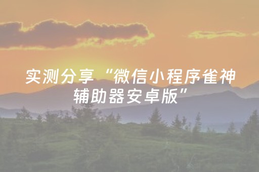 实测分享“微信小程序雀神辅助器安卓版”（详细透视教程）-哔哩哔哩
