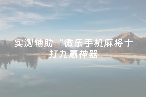 实测辅助“微乐手机麻将十打九赢神器（助赢神器通用版）
