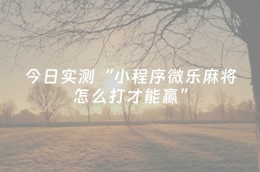 今日实测“小程序微乐麻将怎么打才能赢”（详细透视教程）-哔哩哔哩