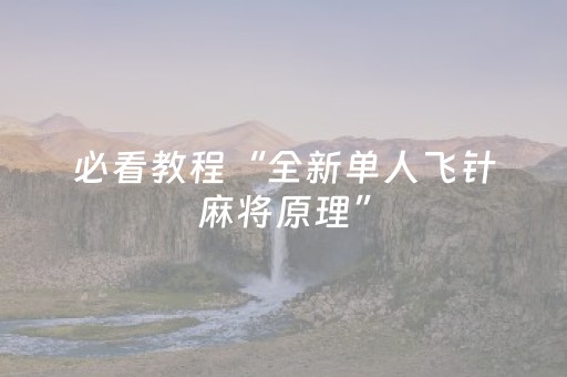 必看教程“全新单人飞针麻将原理”（详细透视教程）-哔哩哔哩