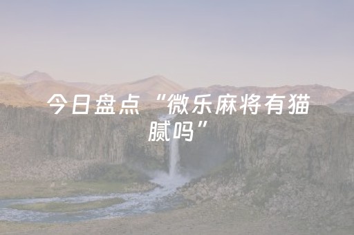 今日盘点“微乐麻将有猫腻吗”（详细辅助教程）-哔哩哔哩