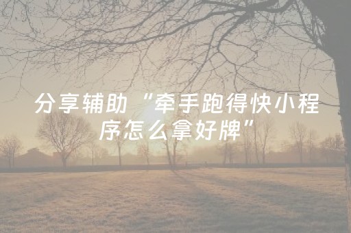 分享辅助“牵手跑得快小程序怎么拿好牌”（详细透视教程）-哔哩哔哩