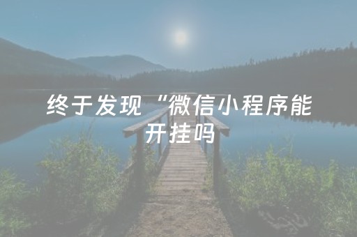 终于发现“微信小程序能开挂吗（专用辅牌神器免安装）