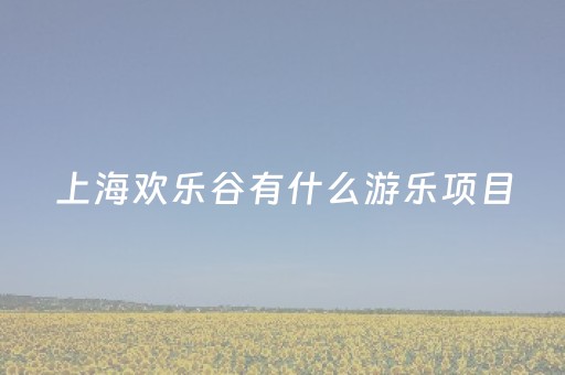 上海欢乐谷有什么游乐项目（上海欢乐谷有什么游乐项目适合12米以下的）
