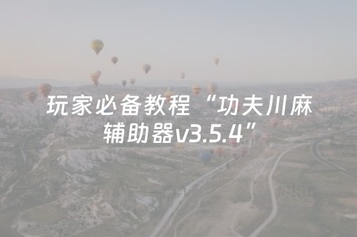 玩家必备教程“功夫川麻辅助器v3.5.4”（详细透视教程）-哔哩哔哩