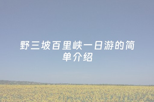 野三坡百里峡一日游的简单介绍