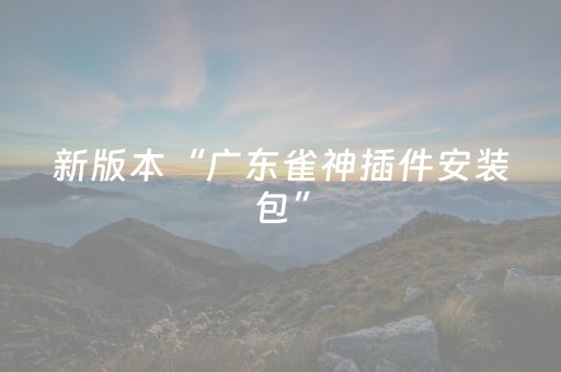 新版本“广东雀神插件安装包”（详细透视教程）-哔哩哔哩