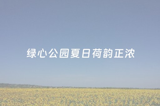 玩家必备教程“qq红包埋雷挂真的假的”（详细透视教程）-哔哩哔哩