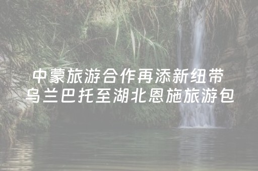 实测辅助“手机跑得快助赢神器”（详细透视教程）-哔哩哔哩