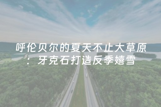 实测辅助“微乐湖南红中麻将助赢神器购买”（详细透视教程）-哔哩哔哩