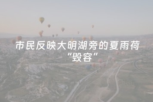 分享辅助“微友麻将铺牌器最新免费”（详细透视教程）-哔哩哔哩