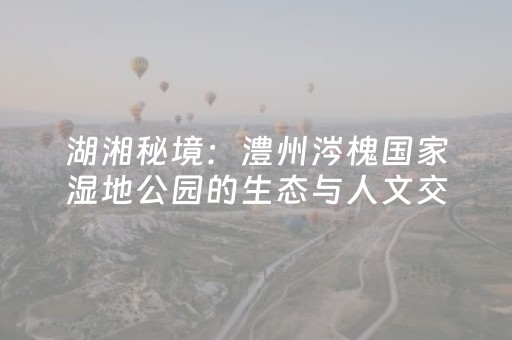 必看教程！“哈灵斗地主怎样让系统发好牌”（详细透视教程）-哔哩哔哩
