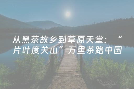 玩家实测“陌陌红包挂”（详细透视教程）-哔哩哔哩