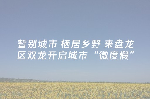 终于发现了“QQ禁群红包埋雷软件神器”（详细透视教程）-哔哩哔哩