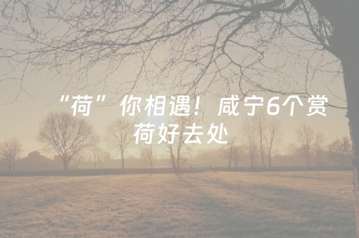 必看教程“红包尾数控制教程”（详细透视教程）-哔哩哔哩