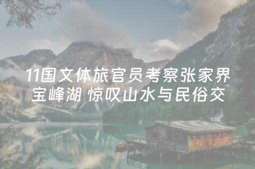 分享辅助“程序麻将设备 黑科技”（详细透视教程）-哔哩哔哩