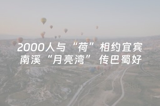 教程辅助“开心泉州麻将免费插件”（详细透视教程）-哔哩哔哩