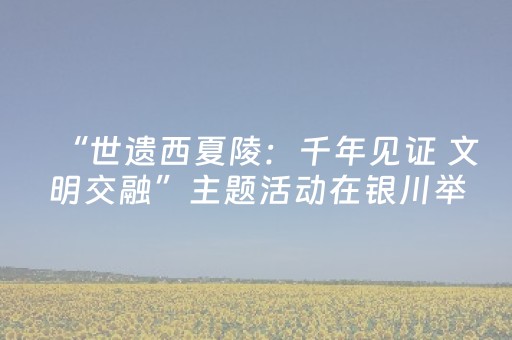 3分钟学会“微信红包群抢红包避雷辅助软件挂哪里有”（详细透视教程）-哔哩哔哩