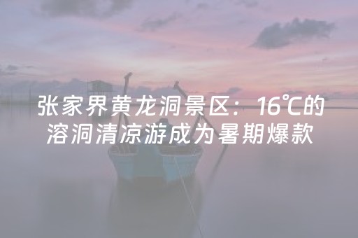 今日盘点“吉祥麻将填大坑插件”（详细透视教程）-哔哩哔哩