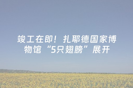 实测辅助“心悦麻将助赢神器购买”（详细透视教程）-哔哩哔哩