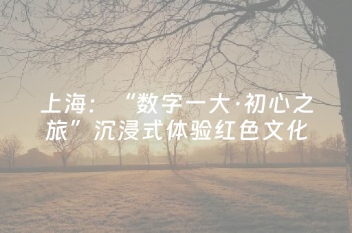 实测分析“微乐麻将小程序辅牌器”（详细辅助教程）-哔哩哔哩