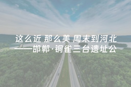教程辅助“微信抢红包软件自动抢最佳”（详细透视教程）-哔哩哔哩