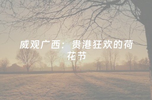 胜率设置方法“手机雀神麻将软挂神器”（详细透视教程）-哔哩哔哩