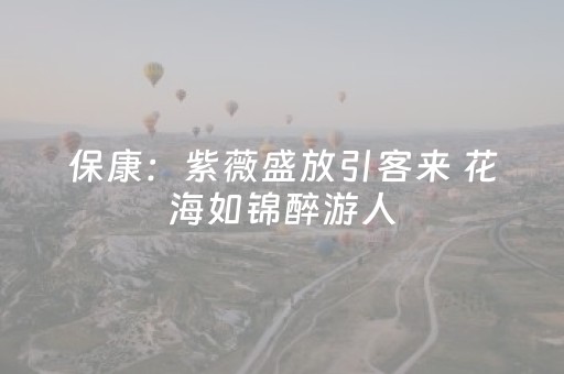 终于发现了“微信抢红包神器2020版免费”（详细透视教程）-哔哩哔哩