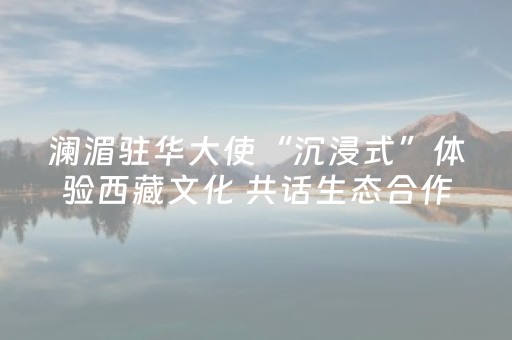 今日盘点“手机微乐麻将铺牌器”（详细透视教程）-哔哩哔哩