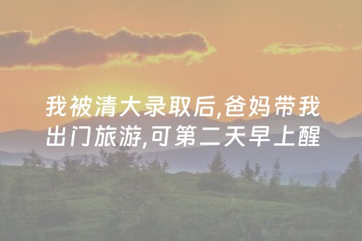 我被清大录取后,爸妈带我出门旅游,可第二天早上醒来后只剩我一人