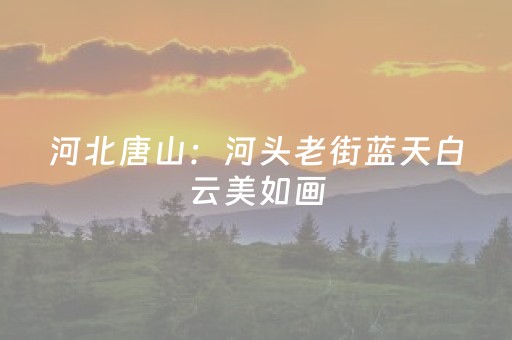 教程辅助“财神十三张辅助器”（详细透视教程）-哔哩哔哩