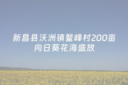 玩家必备教程“扑克辅助器是骗局吗”（详细透视教程）-哔哩哔哩