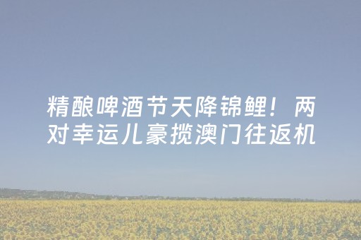 玩家必备教程“小程序跑得快技巧必胜绝技”（详细透视教程）-哔哩哔哩