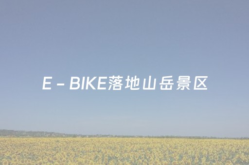 2分钟秒懂！“手机微乐麻将铺牌器”（详细辅助教程）-哔哩哔哩