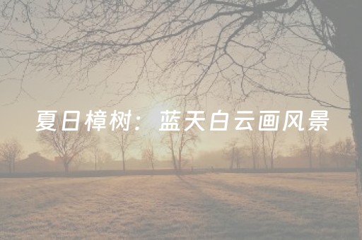 玩家必看攻略“有没有QQ红包尾数控制器免费下载”（详细透视教程）-哔哩哔哩